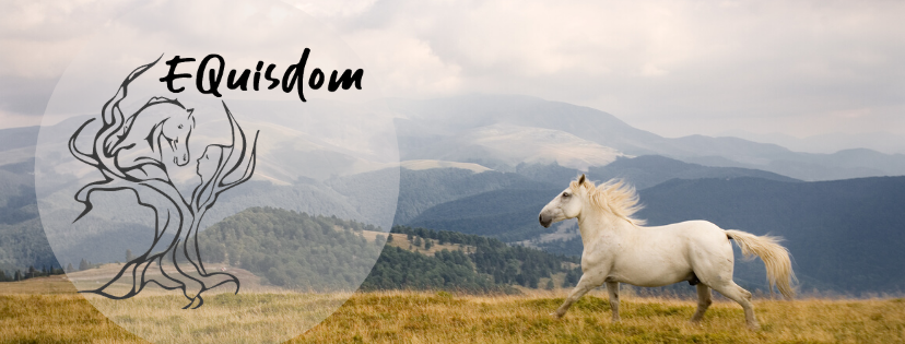 EQuisdome logo and white horse running